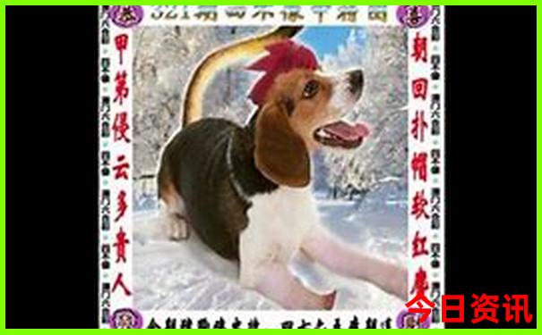 孝感一日游必去景点